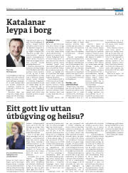 Síða 15