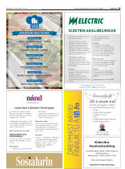 Síða 19