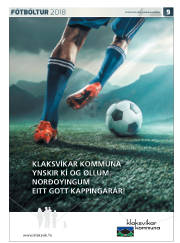 Síða 33