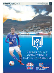 Síða 35