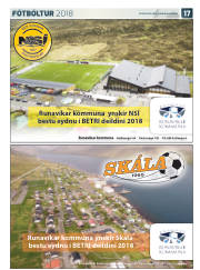 Síða 41