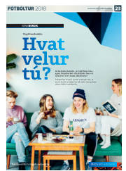 Síða 47