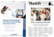 Síða 14