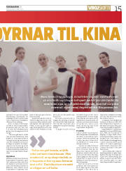 Síða 15