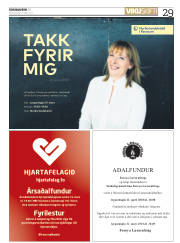 Síða 29