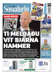 Síða 1