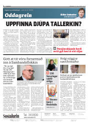 Síða 2