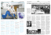 Síða 17