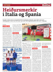 Síða 13
