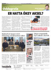 Síða 2