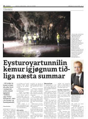 Síða 10