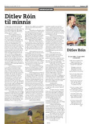 Síða 13