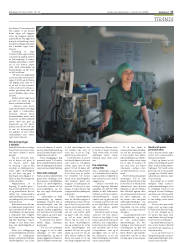 Síða 17