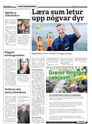 Síða 20