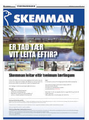 Síða 22