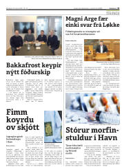 Síða 31