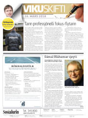 Síða 2