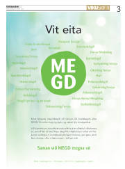 Síða 3