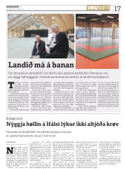Síða 17