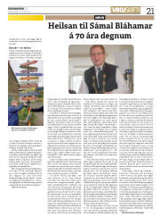 Síða 21