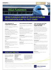 Síða 29