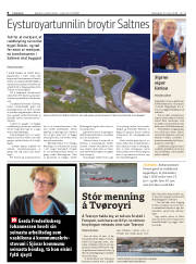 Síða 8