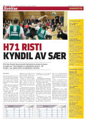 Síða 14