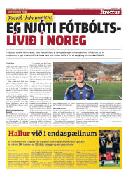 Síða 15