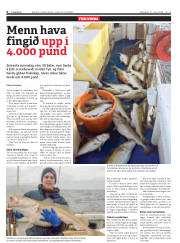Síða 6