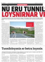 Síða 8