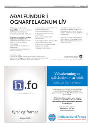 Síða 13