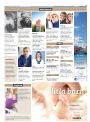 Síða 29