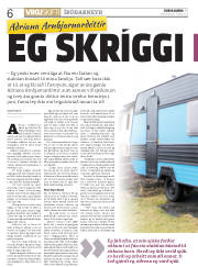 Síða 6