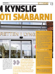 Síða 13