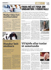 Síða 15