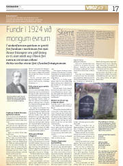 Síða 17