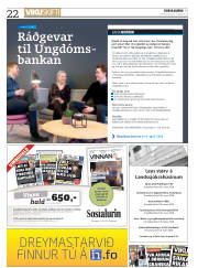 Síða 22