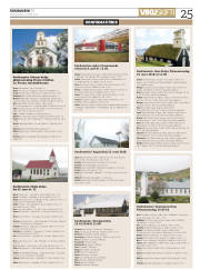 Síða 25