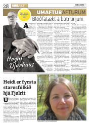 Síða 28