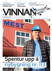 Síða 29