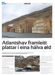Síða 30