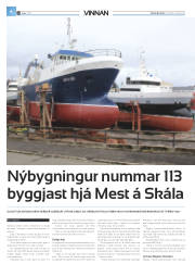 Síða 32