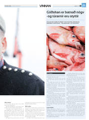 Síða 41