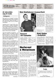 Síða 2