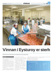 Síða 45