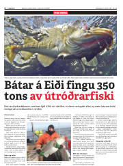 Síða 6