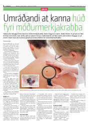 Síða 8