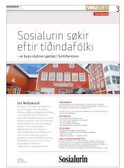 Síða 3