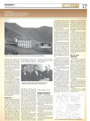 Síða 17
