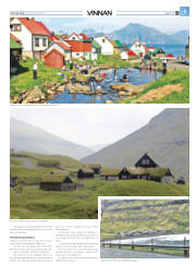 Síða 29